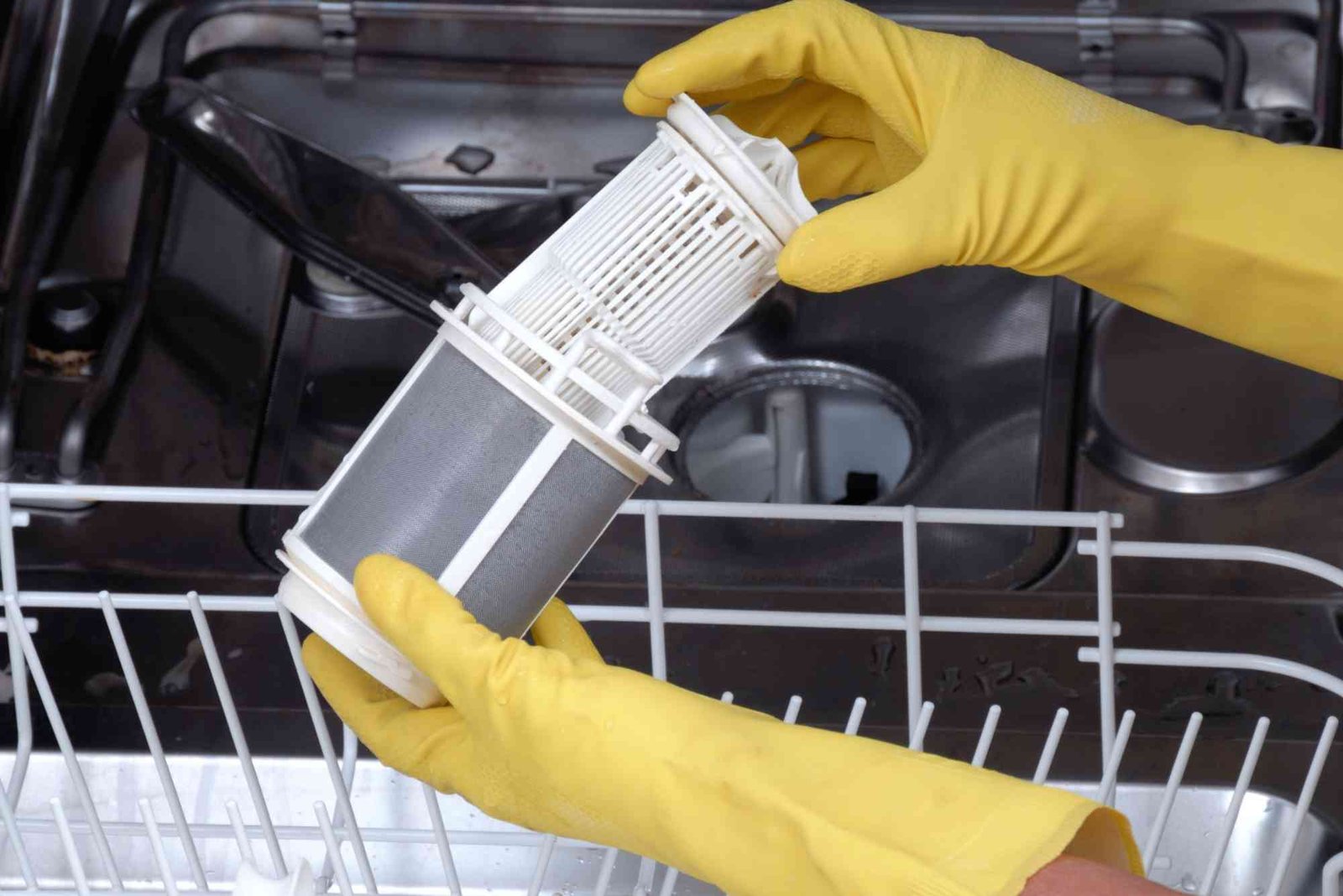 Why Does My Dishwasher Smell Bad Cleaning and Maintenance Guide for JVC