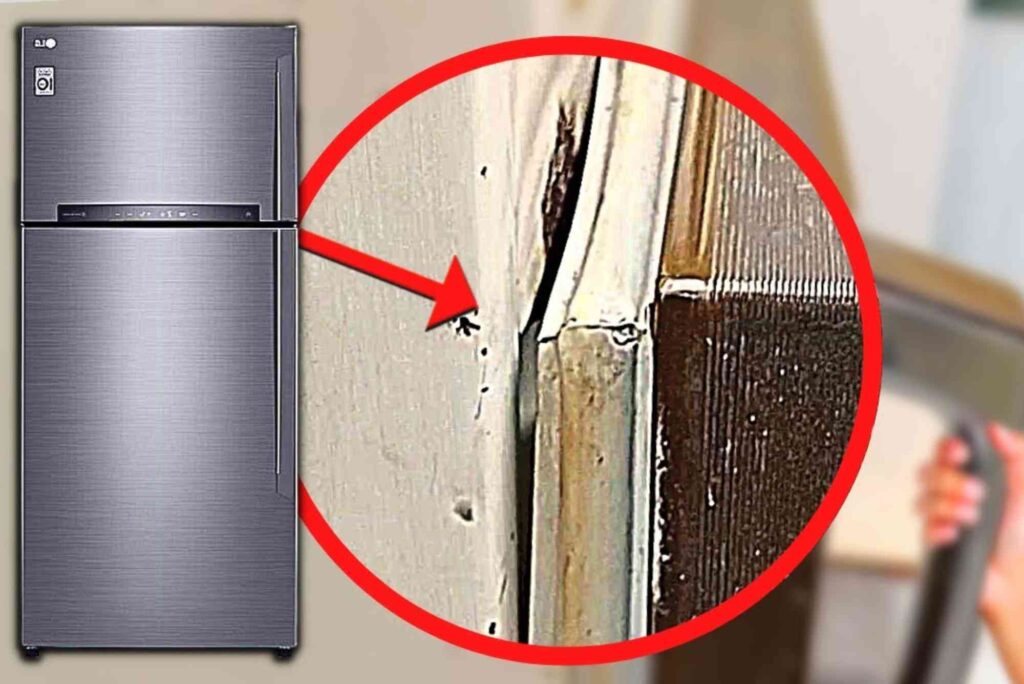 Fridge Door Won’t Close Properly? Simple Fixes For JVC Homes